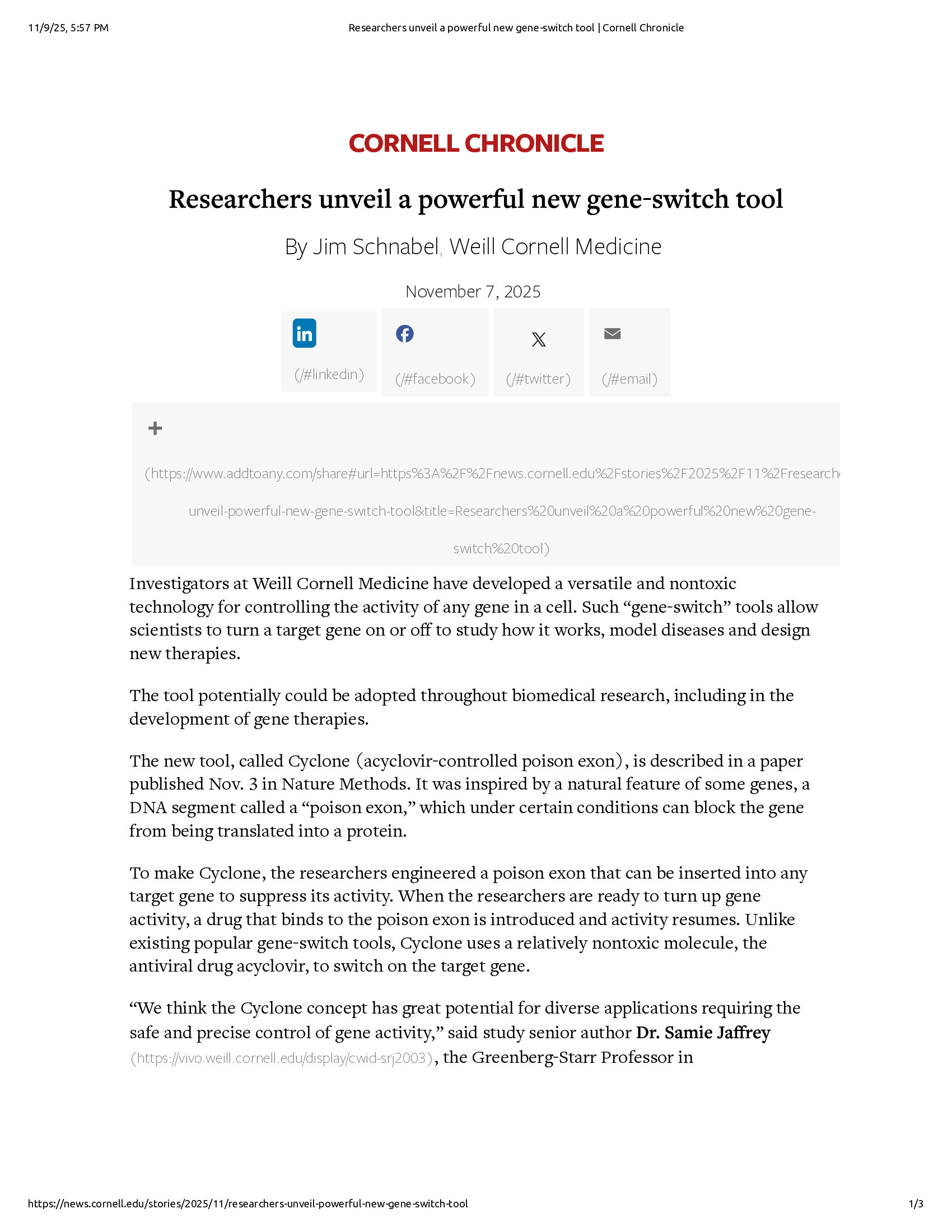 Native browser print preview