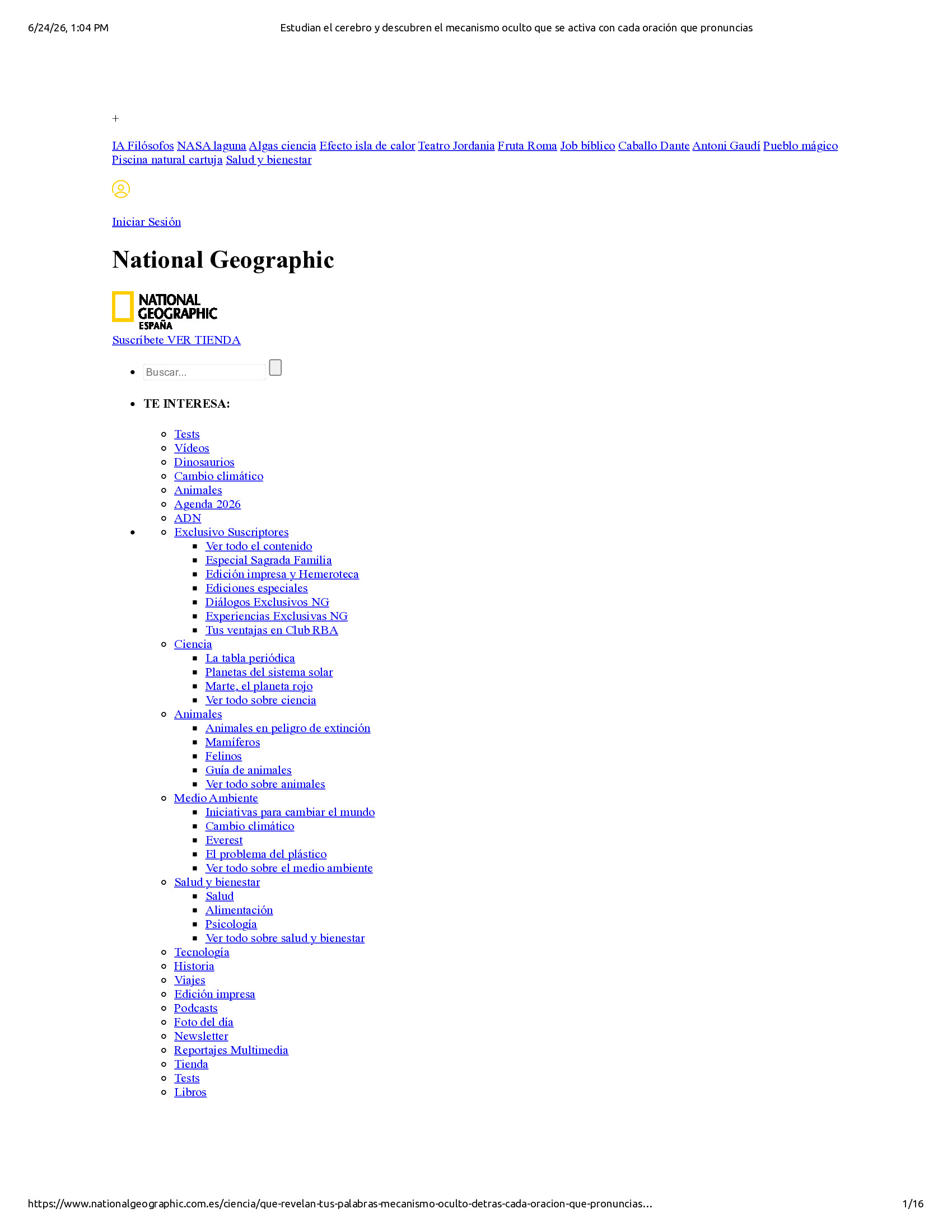 Native browser print preview