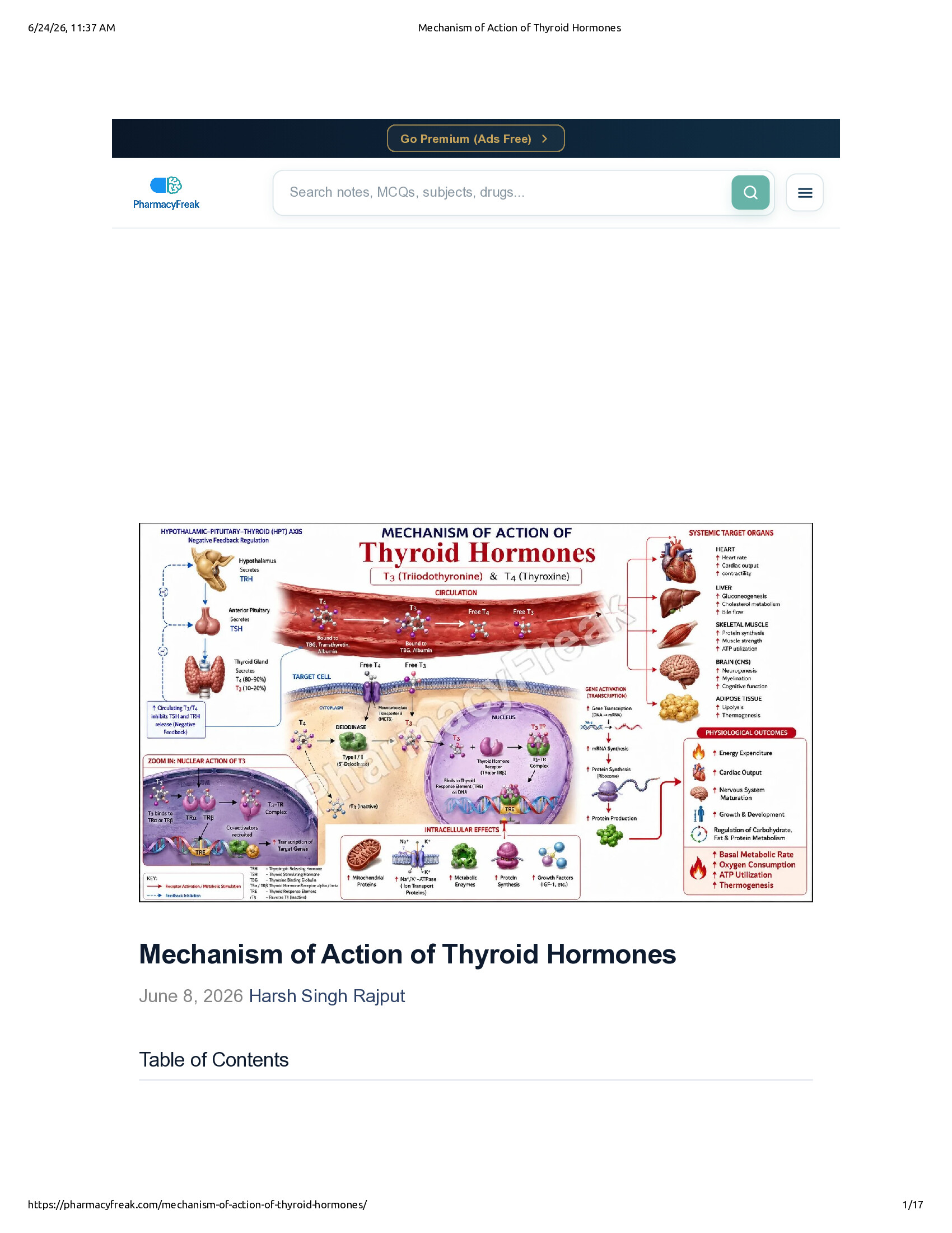 Native browser print preview