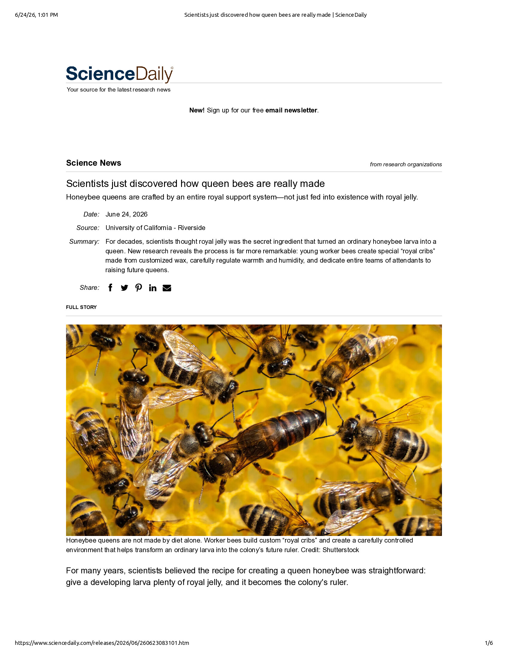 Native browser print preview