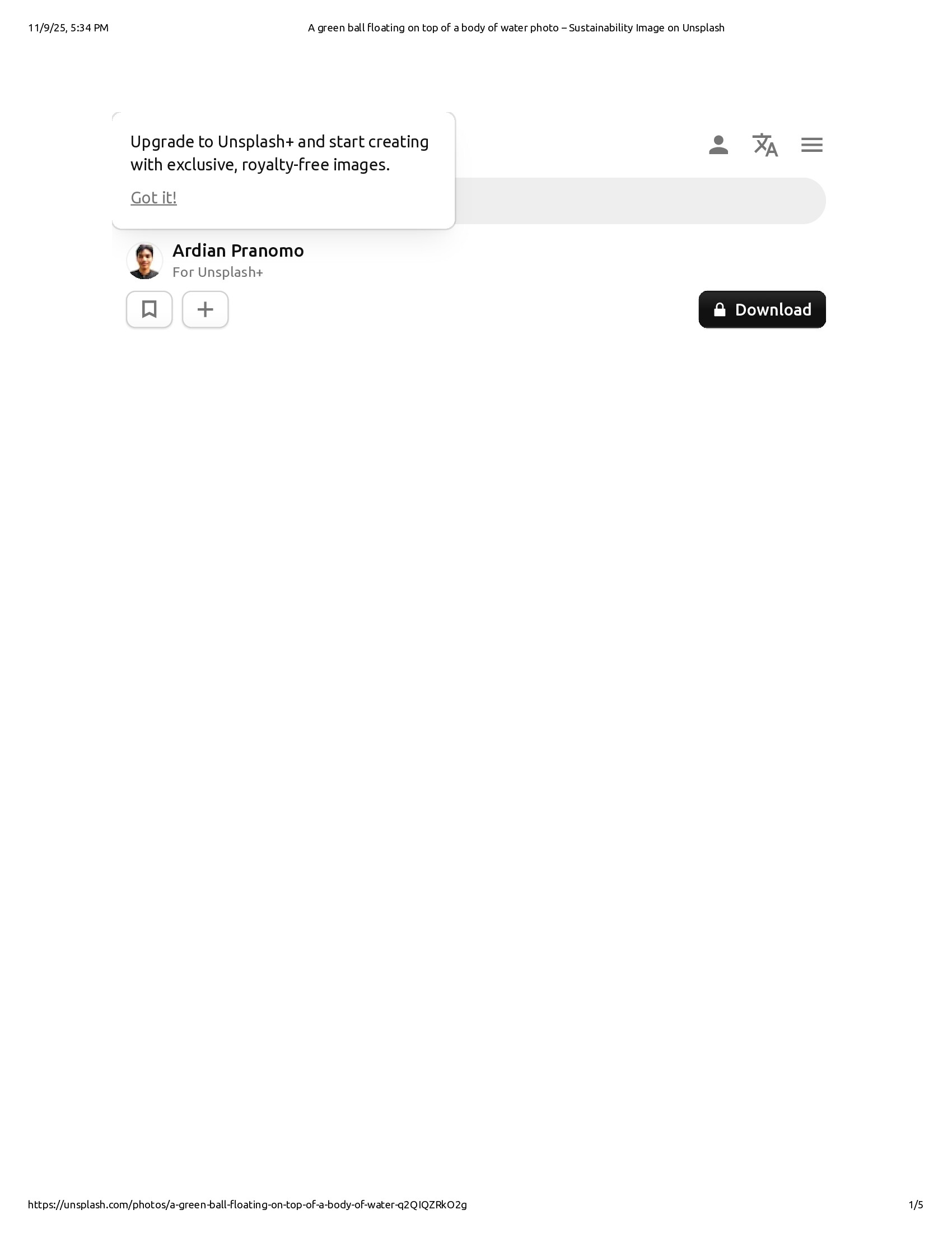 Native browser print preview