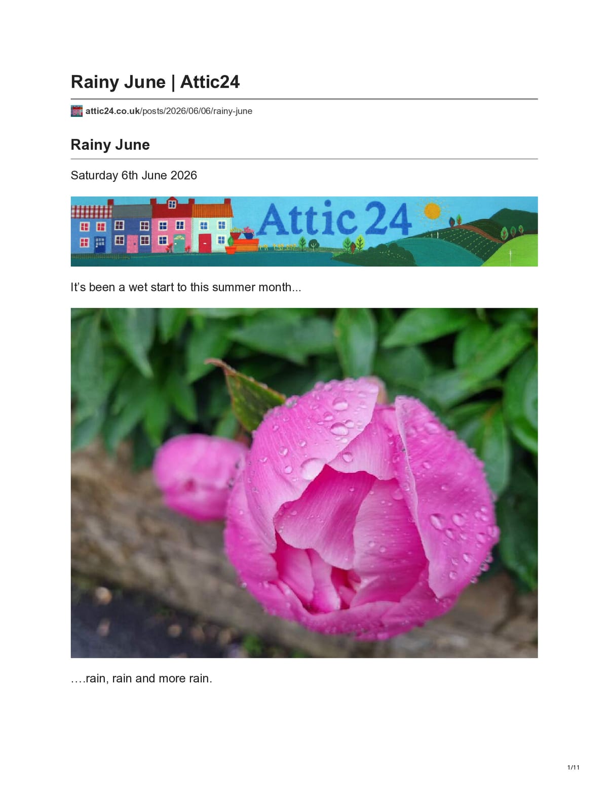 PrintFriendly preview