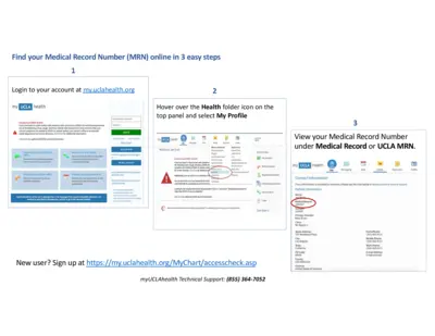 https://www.printfriendly.com/thumbnails/094f4cbf-4573-4753-930a-dc0cbfe10ddf-400.webp