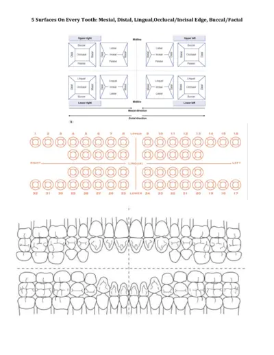 https://www.printfriendly.com/thumbnails/3cfa153d-ad2f-4a40-8394-9c9c42d79f58-400.webp
