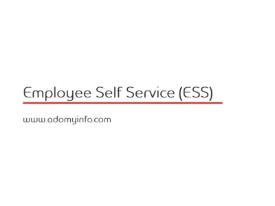 https://www.printfriendly.com/thumbnails/6e571073-4edc-424c-bf68-c1fd89e28d53-400.webp