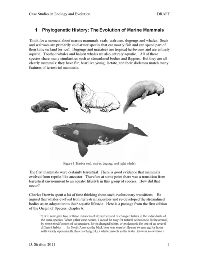 https://www.printfriendly.com/thumbnails/bb08ff56-e603-41ca-929f-0153e98df31c-400.webp